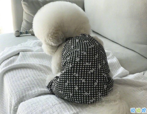 適合掛在微信狀態(tài)上的簡(jiǎn)短句子 適合微信狀態(tài)的簡(jiǎn)短文案2