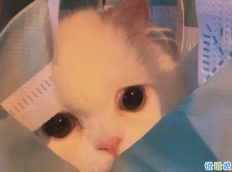 關(guān)于遇見的唯美短句帶圖片 表達遇見的唯美句子8