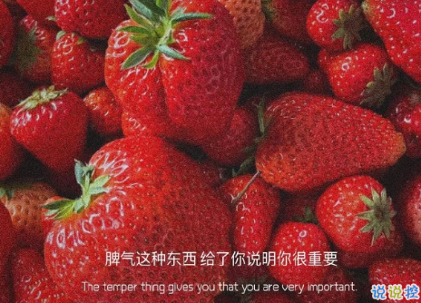 關(guān)于遇見的唯美短句帶圖片 表達遇見的唯美句子11