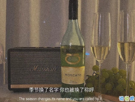 關(guān)于遇見的唯美短句帶圖片 表達遇見的唯美句子15