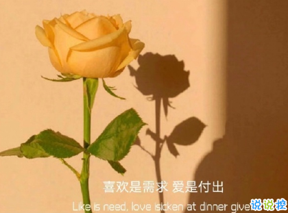 朋友圈曬花朵的優(yōu)美文案 關(guān)于曬花朵的朋友圈3