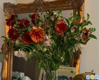朋友圈曬花朵的優(yōu)美文案 關(guān)于曬花朵的朋友圈12