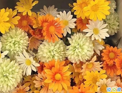 朋友圈曬花朵的優(yōu)美文案 關(guān)于曬花朵的朋友圈13
