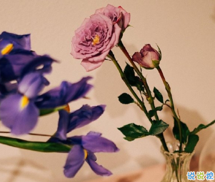 朋友圈曬花朵的優(yōu)美文案 關(guān)于曬花朵的朋友圈15