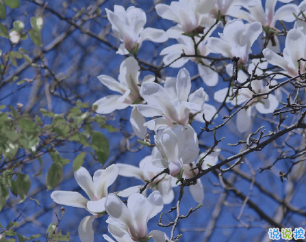 2021四月第一天早安勵志說說 四月早安勵志語錄2