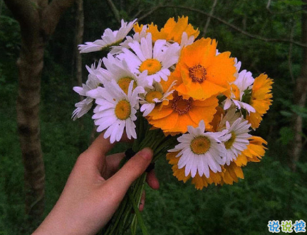 適合周末發(fā)朋友圈的正能量早安心語 充滿正能量的陽光早安句子1