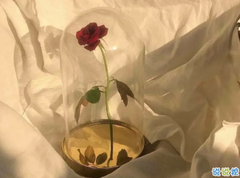 2021勵志雞湯句子 讓心靈成長的語錄2