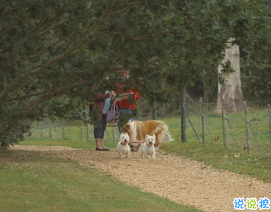 不會爛大街的傷感說說帶圖片 2021傷感的高質(zhì)量的文案1