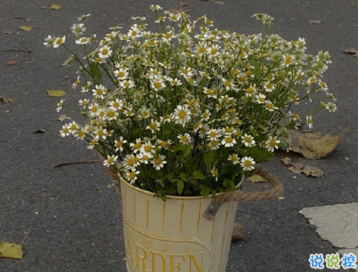 不會爛大街的傷感說說帶圖片 2021傷感的高質(zhì)量的文案7