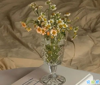 不會爛大街的傷感說說帶圖片 2021傷感的高質(zhì)量的文案8