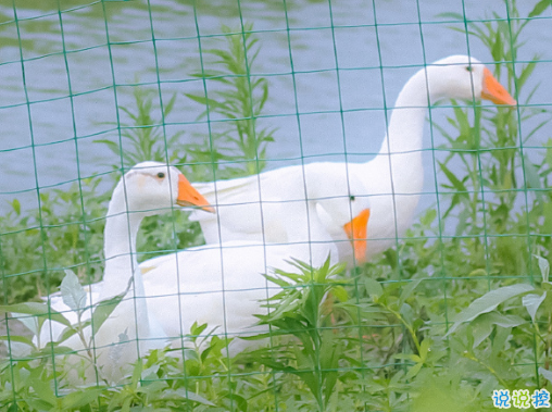 適合四月發(fā)朋友圈的文藝句子 2021四月超級文藝的文案合集1