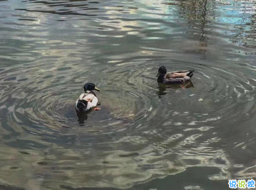 文化人發(fā)朋友圈的哲理句子 適合朋友圈的好聽(tīng)短句2