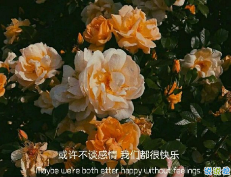 溫暖又很治愈的朋友圈句子 治愈又很走心的有道理的文案1