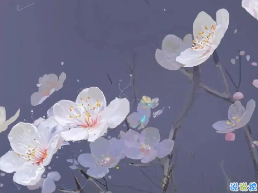 給正在追求女孩子的晚安句子 打動女孩子的超級好聽的晚安文案1