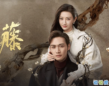 電視劇司藤的經(jīng)典臺(tái)詞 司藤里最經(jīng)典的語錄霸氣4