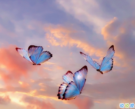 發(fā)朋友表達心情寂寞的短句 孤單寂寞的心情短句20212