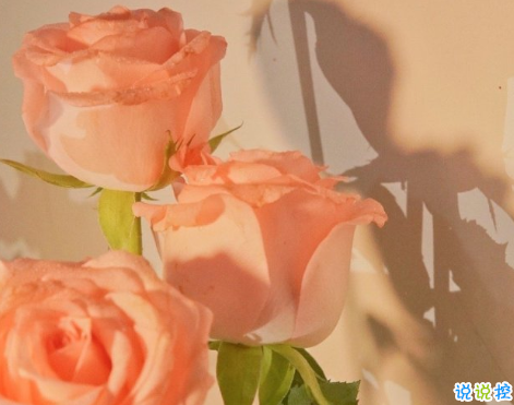 一個(gè)人的理想生活句子朋友圈文案 關(guān)于一個(gè)人生活朋友圈文案配圖2