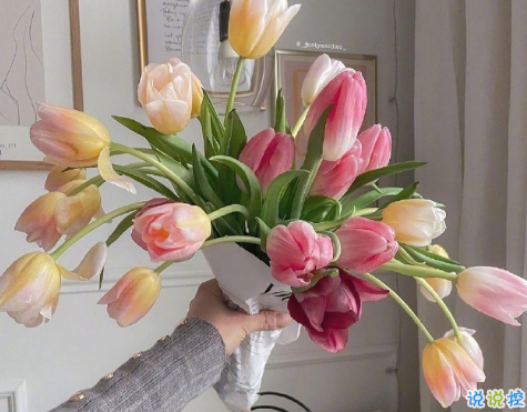 一個(gè)人的理想生活句子朋友圈文案 關(guān)于一個(gè)人生活朋友圈文案配圖14