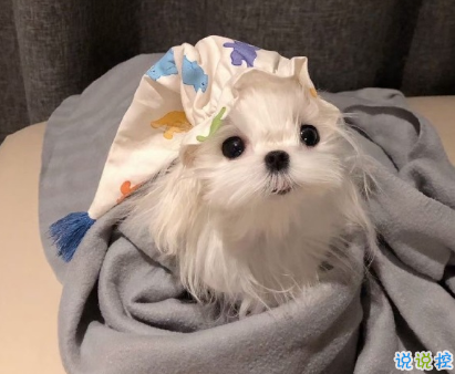 清明節(jié)祭英烈寄語簡(jiǎn)短的 2021清明節(jié)緬懷英雄的句子2