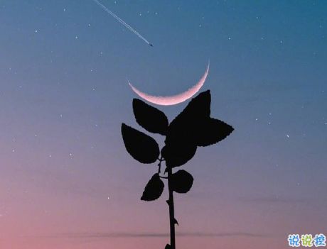 回憶初戀的美好句子優(yōu)美 形容初戀美好的短句1