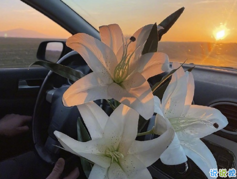 一見(jiàn)鐘情的酸酸甜甜朋友圈短句 最新發(fā)朋友圈暗戀感覺(jué)的句子1