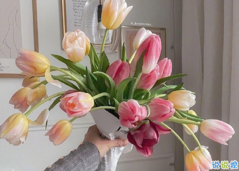 一見(jiàn)鐘情的酸酸甜甜朋友圈短句 最新發(fā)朋友圈暗戀感覺(jué)的句子2