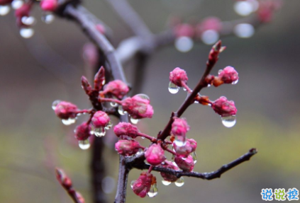 贊美春雨的優(yōu)美句子 描寫春雨的唯美文案1