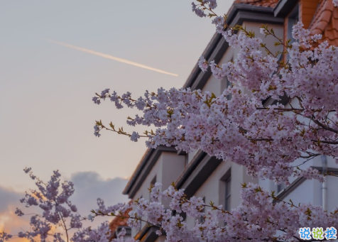 表白失敗后的傷感虐心句子 愛而不得的傷感文案2