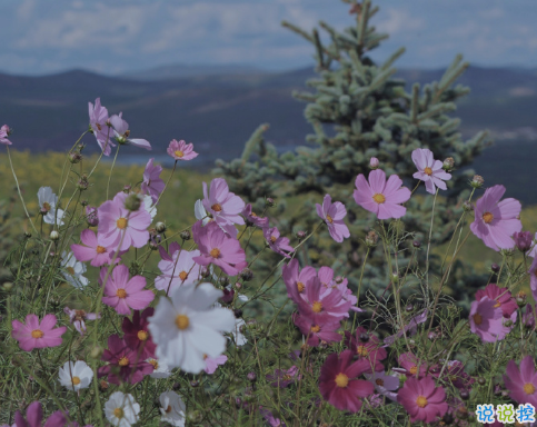 在外地想家的心情說說 外地工作想家的感慨句子2