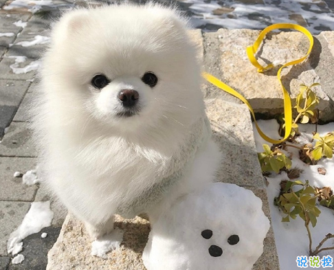 人生坎坷的心得與感悟句子 感慨人生不易的句子1