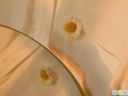 經(jīng)典網(wǎng)絡(luò)流行語(yǔ)言大全 網(wǎng)上流行的精辟句子20211