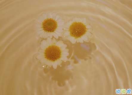 經(jīng)典網(wǎng)絡(luò)流行語(yǔ)言大全 網(wǎng)上流行的精辟句子20212