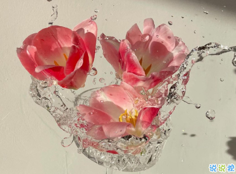 00后女生發(fā)的小清新句子 別致又好聽的00女生文案2