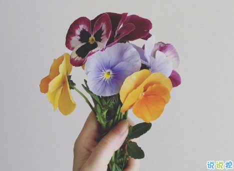 00后文藝又又意境的微信狀態(tài)文案 適合00后的微信狀態(tài)句子1