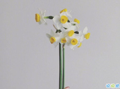 00后文藝又又意境的微信狀態(tài)文案 適合00后的微信狀態(tài)句子2