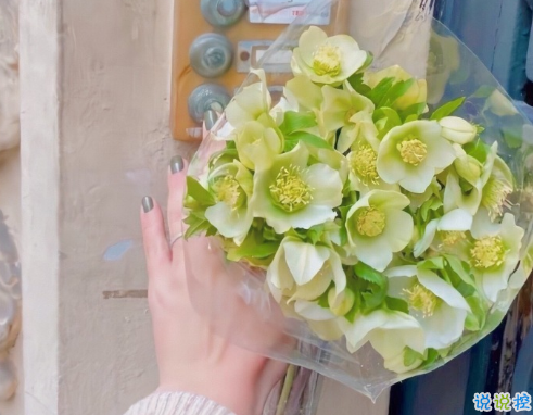 懷戀高中生活的說(shuō)說(shuō) 懷戀高中的一切的說(shuō)說(shuō)1