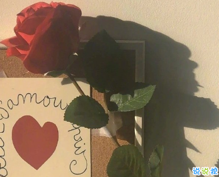 比晚安更高級的撩人情話 睡前情話最暖心撩人8