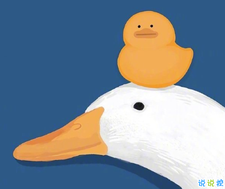 比晚安更高級的撩人情話 睡前情話最暖心撩人9