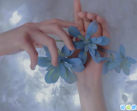 比晚安更高級的撩人情話 睡前情話最暖心撩人14