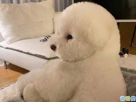 辭職發(fā)給老板的搞笑句子 有趣幽默的辭職文案簡(jiǎn)短1