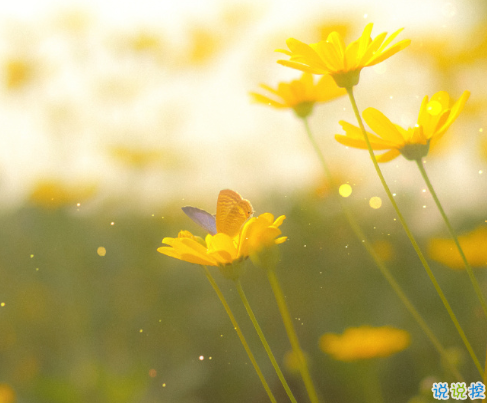 辭職發(fā)給老板的搞笑句子 有趣幽默的辭職文案簡(jiǎn)短2