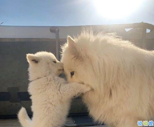 關(guān)于天氣的朋友圈文案 朋友圈曬天氣的句子1