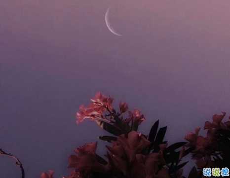 關(guān)于曾經(jīng)的朋友圈句子 一聽就覺得很非主流的文案1