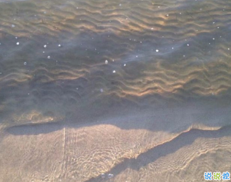 關(guān)于曾經(jīng)的朋友圈句子 一聽就覺得很非主流的文案2