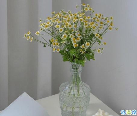 朋友圈文案說說的好句子 發(fā)朋友圈的文案短句2