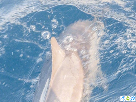 溫暖至極的溫柔朋友圈說說帶圖片 超級(jí)治愈又溫柔的短句2