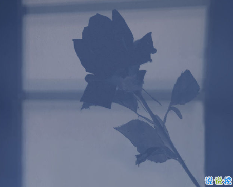 溫暖至極的溫柔朋友圈說說帶圖片 超級(jí)治愈又溫柔的短句6