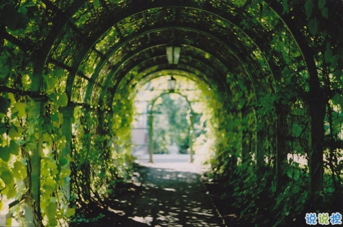 寫給異地戀的說說帶圖片 愿你漂洋過海有人在彼岸等你7