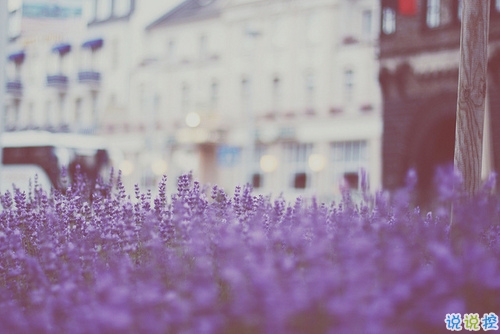 比較有詩意的愛情說說帶點傷感 傷感句子合集能走入女孩子內(nèi)心5