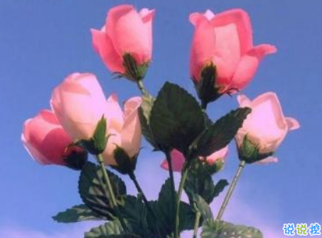 祝閨蜜生日快樂(lè)的說(shuō)說(shuō)簡(jiǎn)短感動(dòng)帶圖片 適合朋友生日發(fā)朋友圈的說(shuō)說(shuō)7